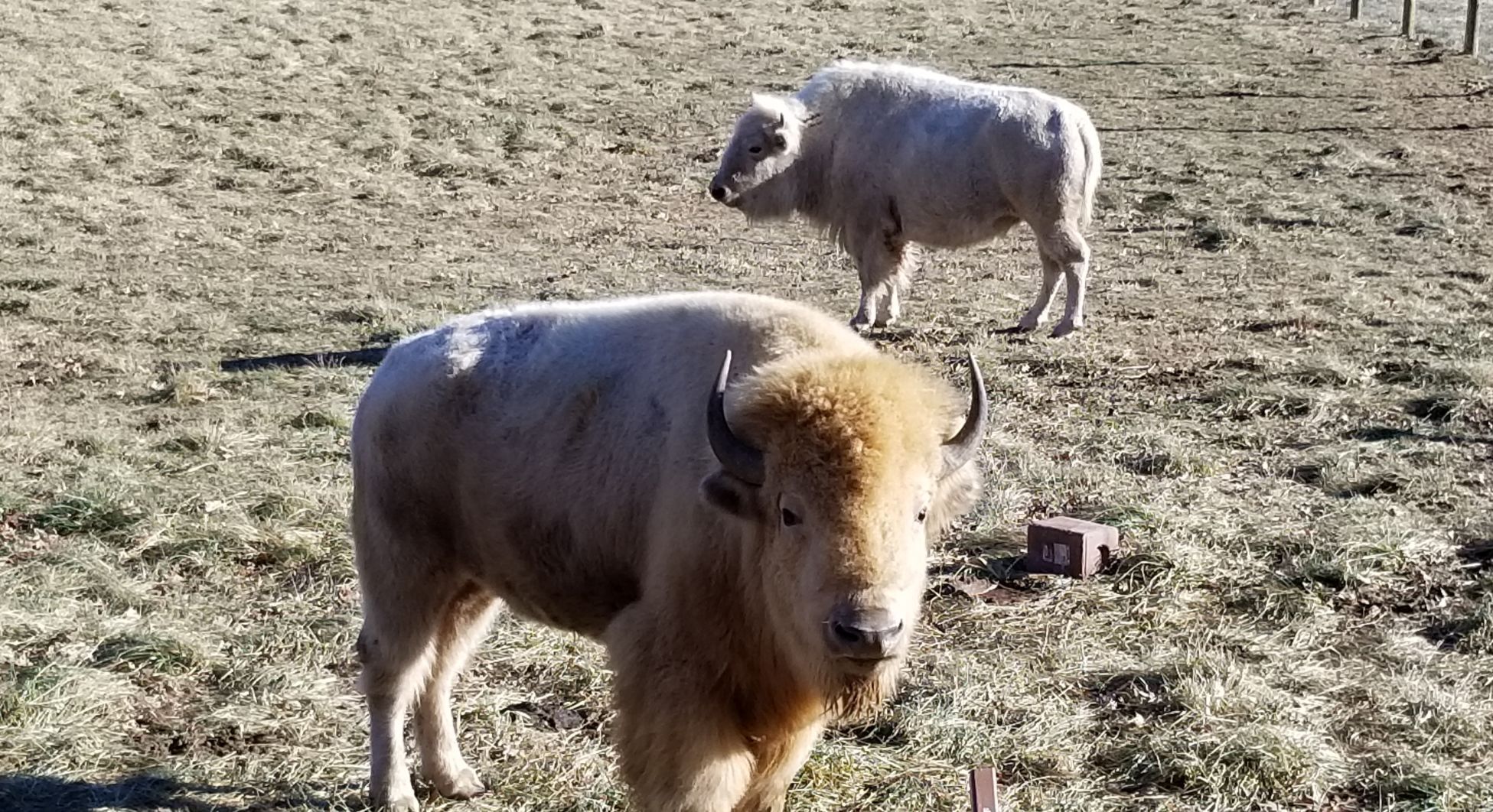 Wildlife Prairie Park